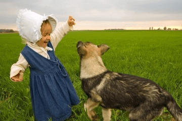 母柴犬狗狗名字大全