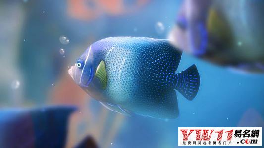 夢(mèng)見(jiàn)魚(yú)