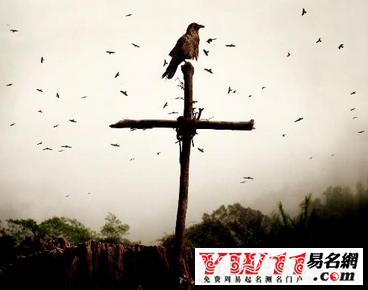 三毛經(jīng)典語(yǔ)錄勵(lì)志二