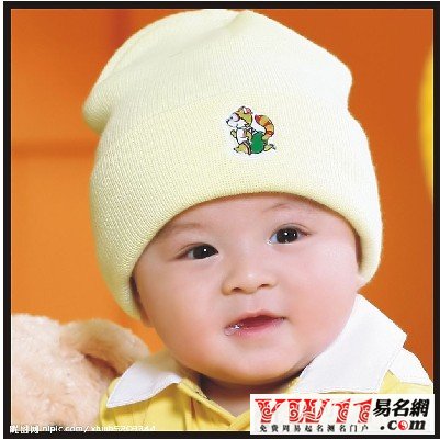 龍年溫姓嬰兒網(wǎng)站名字分?jǐn)?shù)