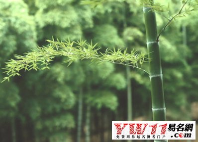 女網(wǎng)名唯美有氣質