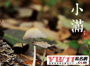 小滿(mǎn)是什么意思