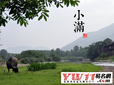 小滿(mǎn)是什么意思
