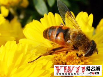 小滿(mǎn)是什么意思