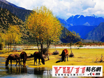 蜜月旅行推薦,國內(nèi)蜜月旅行推薦