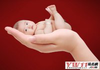 2017雞年男孩起名大全