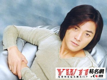 起名大全,最火香港男明星名字