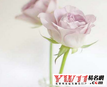 qq網(wǎng)名8個(gè)字的