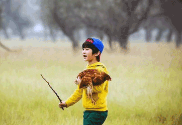 100多個(gè)響亮大氣的豬年男寶寶名字大全