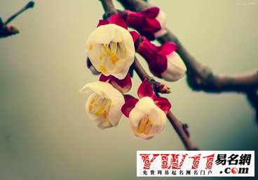 qq個(gè)性說說大全