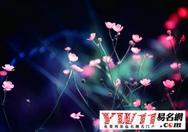 好聽(tīng)的qq英文名字