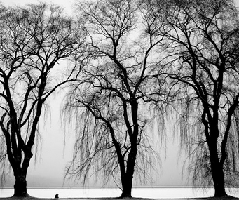 周公解夢夢到墓地