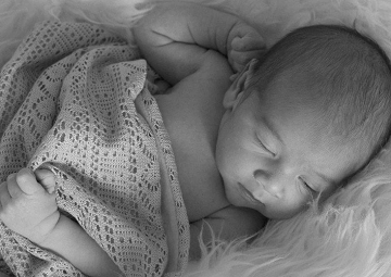 1000個(gè)鼠寶寶好名字大全