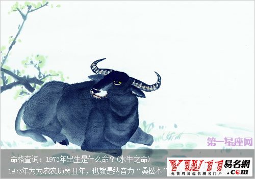 1973年出生是什么命？(水牛之命)