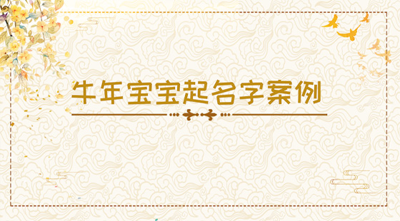 牛年寶寶起名字案例