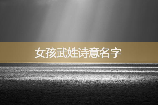 女孩武姓詩意名字